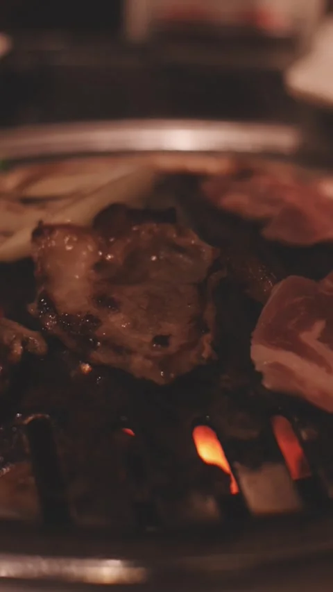 Close-up of marinated pork sizzling on a wire mesh gridiron over hot charcoal Stock Footage 344922120