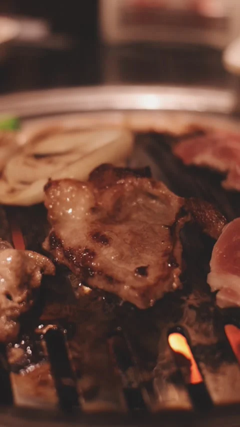 Close-up of marinated pork sizzling on a wire mesh gridiron over hot charcoal Stock Footage 344922125