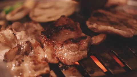Close-up of marinated pork sizzling on a wire mesh gridiron over hot charcoal Stock Footage 344922134