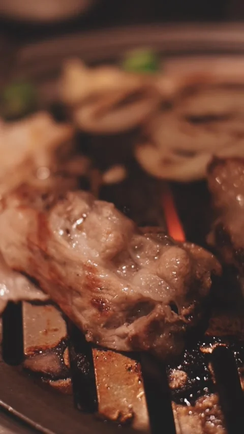 Close-up of marinated pork sizzling on a wire mesh gridiron over hot charcoal Stock Footage 344922135