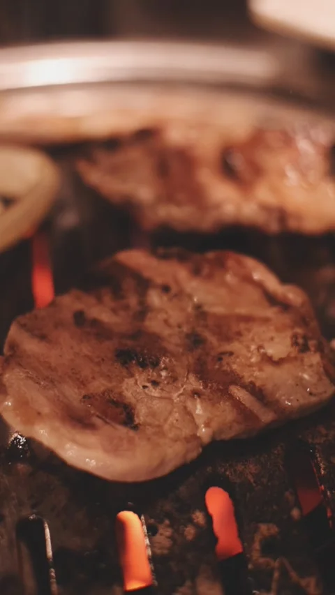 Close-up of marinated pork sizzling on a wire mesh gridiron over hot charcoal Stock Footage 344922141