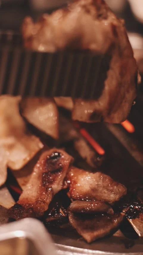 Close-up of marinated pork sizzling on a wire mesh gridiron over hot charcoal Stock Footage 344922150