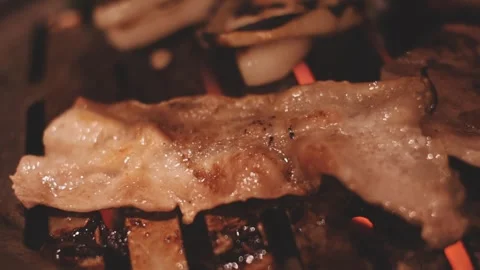 Close-up of marinated pork sizzling on a wire mesh gridiron over hot charcoal Stock Footage 344922152