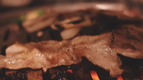 Close-up of marinated pork sizzling on a wire mesh gridiron over hot charcoal Stock Footage 344922161