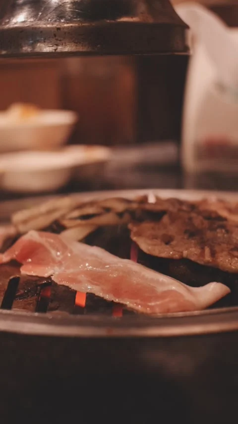 Close-up of marinated pork sizzling on a wire mesh gridiron over hot charcoal Stock Footage 344922162