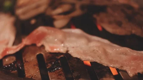 Close-up of marinated pork sizzling on a wire mesh gridiron over hot charcoal Stock Footage 344922177