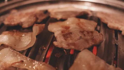 Close-up of marinated pork sizzling on a wire mesh gridiron over hot charcoal Stock Footage 344922184