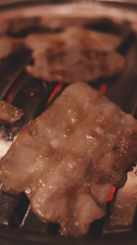 Close-up of marinated pork sizzling on a wire mesh gridiron over hot charcoal Stock Footage 344922185