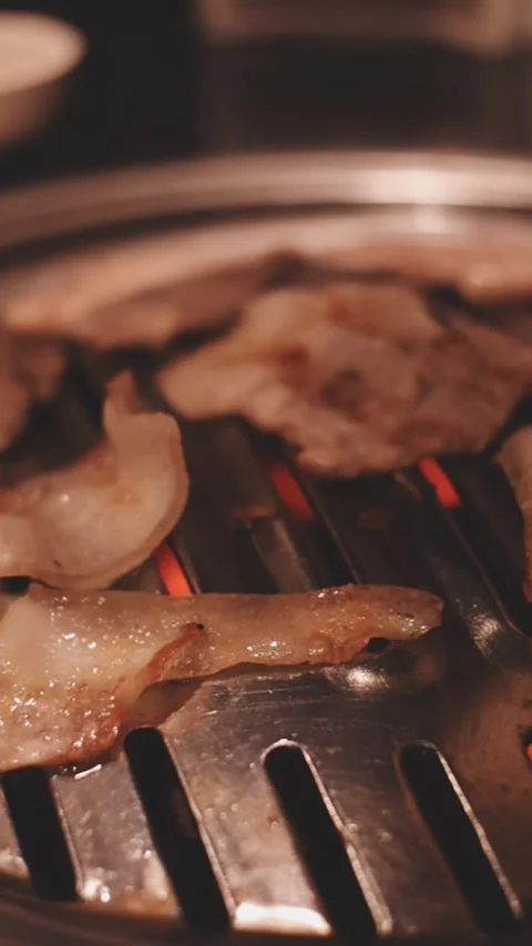 Close-up of marinated pork sizzling on a wire mesh gridiron over hot charcoal Stock Footage 344922202