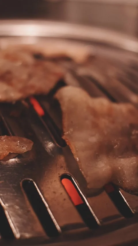 Close-up of marinated pork sizzling on a wire mesh gridiron over hot charcoal Stock Footage 344922209