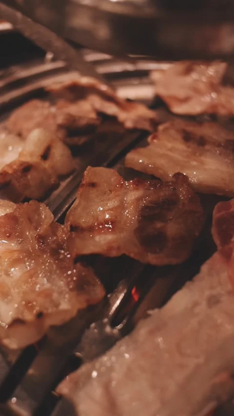 Close-up of marinated pork sizzling on a wire mesh gridiron over hot charcoal Stock Footage 344922235