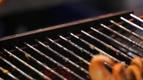 Close-Up of Marinated Squid Skewers Grilling on an Open Flame Barbecue Stock Footage 344218178