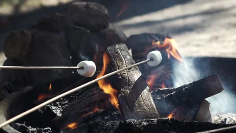 Close-up of marshmallows roasting over an open campfire Stock Footage 138476553