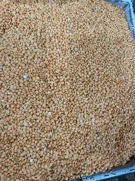 A close up of masoor dal. Stock Photos