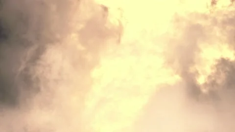 Close Up of Massive Forest Fire 動画素材 172116662