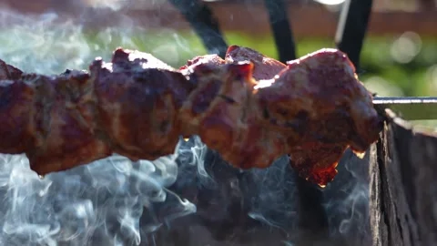 Close-up of meat grilling on a skewer Stock Footage 341702411