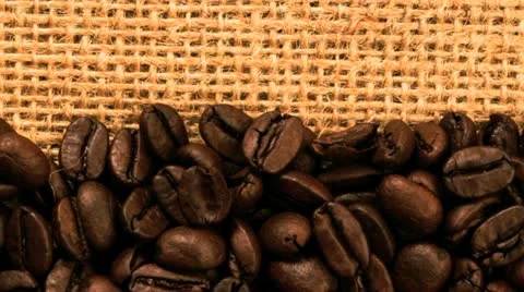 Close up of medium roasted coffee beans Vidéo 21317240