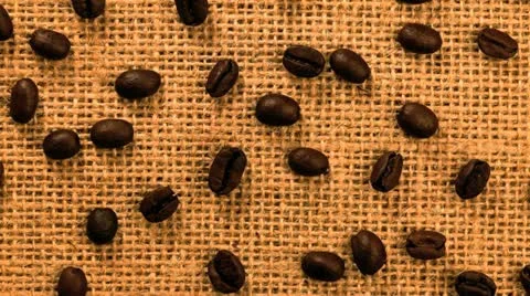 Close up of medium roasted coffee beans Видео 21317339