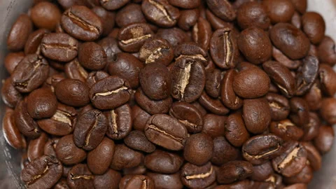 Close Up of Medium Roasted Coffee Beans Moving in Automatic Grinder Stock Footage 348122916
