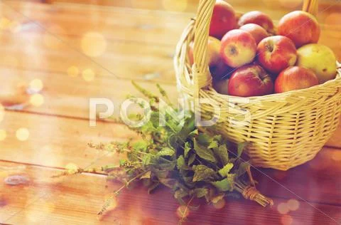 Close up of melissa and basket with apples Stock Photos
