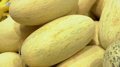 Close-up of melon in grocery store. Fresh autumn crop of melons. Harvest Stock Footage 113319663