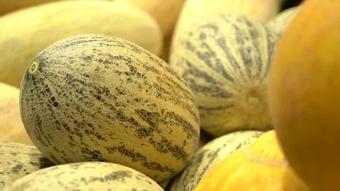 Close-up of melon in grocery store. Fresh autumn crop of melons. Harvest Video stock 113319668