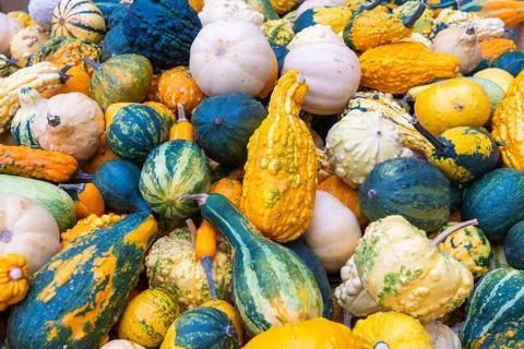 Close up of melons as background Stock Photos