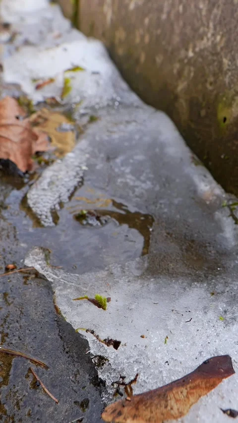 Close-up of melting ice on a wet stone surface, capturing frozen texture Stock Footage 333655879