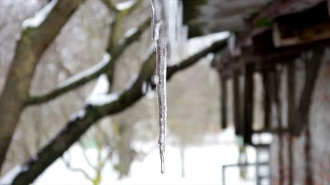 Close Up Melting Icicles Stock Footage 85925739