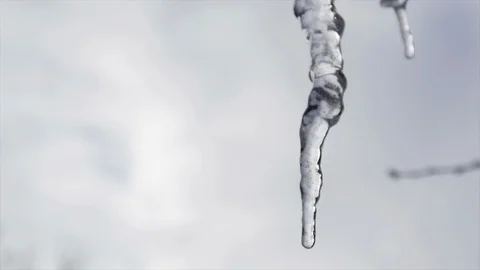 Close Up Melting Icicles Stock Footage 85927285