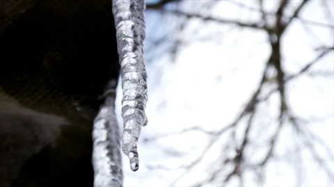 Close Up Melting Icicles Stock Footage 85928226