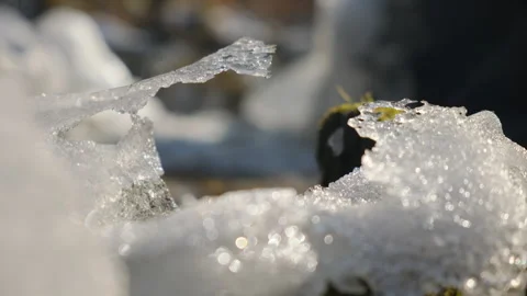 Close up of melting snow and river water flowing during warm winter day Stock Footage 301366068