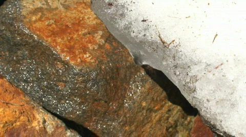 Close up of Melting Snow During Spring Thaw in Washington - Pacific Northwest Stock Footage
