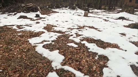 Close-up of Melting Snow on Ground Covered with Dry Brown Leaves Stock Footage 331324467