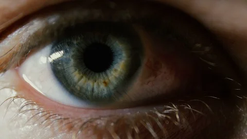 Close up Of Men Blue Eye Opening, Blinking And Looking At Camera Stockbeeldmateriaal 85954849