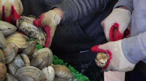 Close up of men opening oysters Stock Footage 62528641
