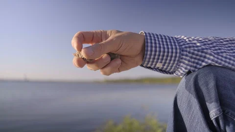 Close-Up Men 's Hand Holds Little Pebbles, then Throws them into the Water Stock Footage 97597149