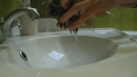 Close up mens hands squeezing floor mop Stock Footage 135376755