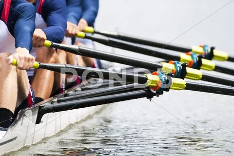 Close up of men's rowing team Stock Photos