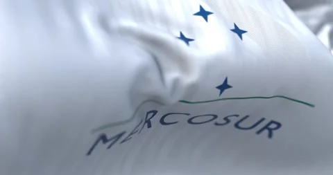 Close-up of Mercosur flag waving in the wind Stock Footage 299620072