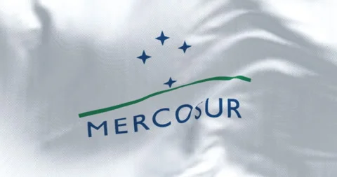 Close-up of Mercosur flag waving in the wind 動画素材 313935542