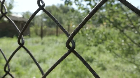 Close Up Of Mesh Netting. Rabitz Stock Footage 257008632