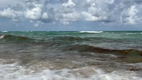 Close up of Miami beach by the beach over looking sea Stock Footage 203804009