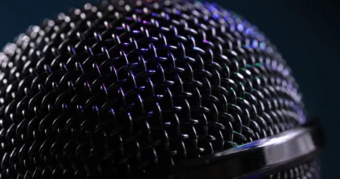 Close-Up Of The Microphone Head Stock Footage 170446404