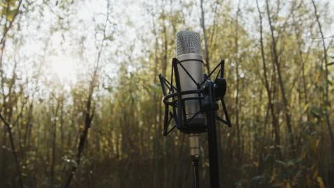 Close up. Microphone in the nature. Stock Photos
