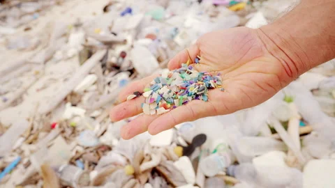 Close-up, microplastic on beach environment, plastic pieces, particles Stock Footage 306723758