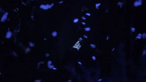 Close-up of the microplastics at The Great Pacific garbage patch. Stockbeeldmateriaal 166272595