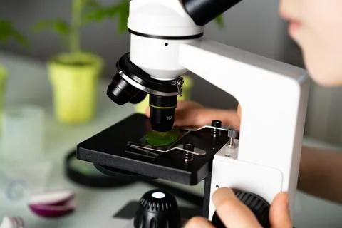 Close-up microscope and plant study, increasing and studying nature Stock Photos