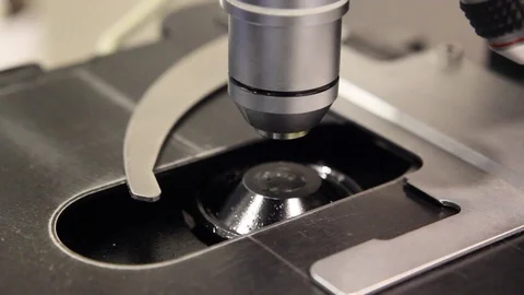 Close-up Of a Microscope Glass Slide Stock Footage 125702674