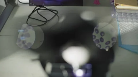 Close-up of microscope glasses showing cells and bacteria. Vídeos de archivo 242664632